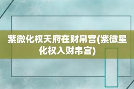 流年紫微天府入财帛(流年财帛宫可以看流年财运吗)