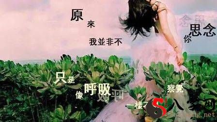 狮子座的你孤单吗？